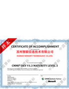 CMMI认证